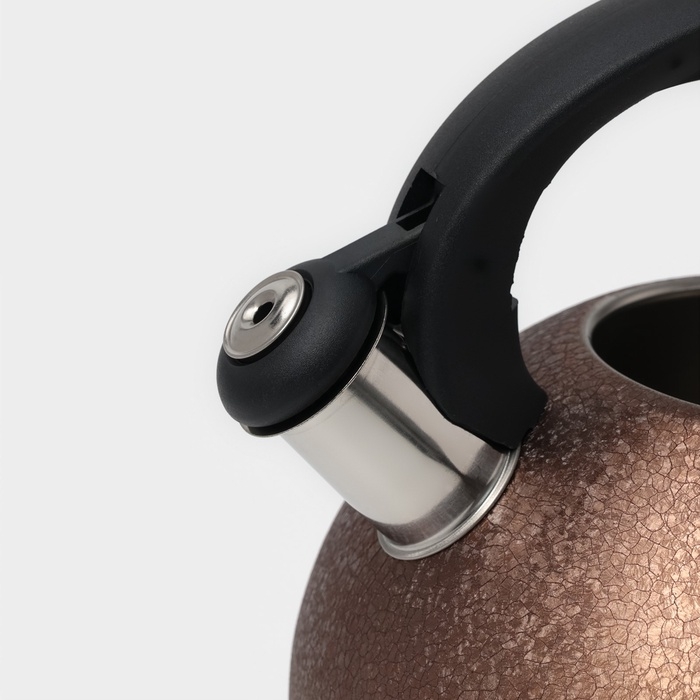 Чайник со свистком из нержавеющей стали Доляна Snow, 3 л, индукция, цвет золотой