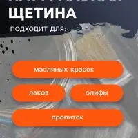 Набор кистей ТУНДРА, плоские, круглые, радиаторные, для масляной краски, 10 шт.