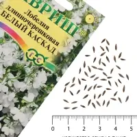 Семена цветов Лобелия ампельная &laquo;Белый каскад&raquo;, 0.01 г