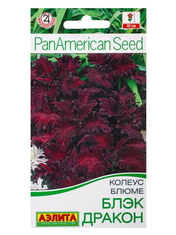 Набор семян цветов Колеус