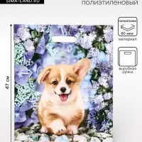 Пакет &laquo;Рыжик&raquo;, полиэтиленовый с вырубной ручкой, 38&times;47 см, 60 мкм