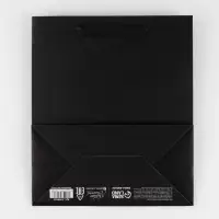 Пакет подарочный ламинированный, упаковка, &laquo;Чёрный&raquo;, ML 23 х 27 х 11.5 см