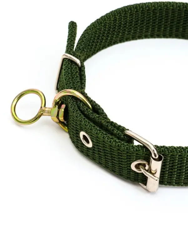 Ошейник двухслойный с вертлюгом, 2.5 см, зелёный