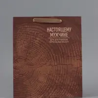 Пакет подарочный крафтовый, упаковка, &laquo;Нереальных высот&raquo;, M 25.5&times;30&times;9 см