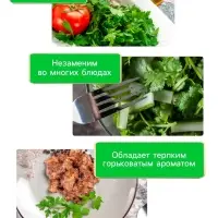 Семена Кориандр "Бородинский", 5 г