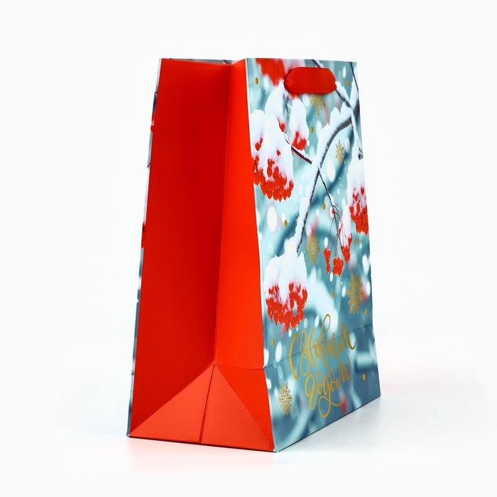 Пакет подарочный новогодний ламинированный «Рябина», MS 23 x 18 х 10 см Пакет подарочный новогодний ламинированный «Рябина», MS 23 x 18 х 10 см