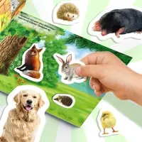 250 наклеек &laquo;Животные фермы и леса&raquo;, 8 стр.