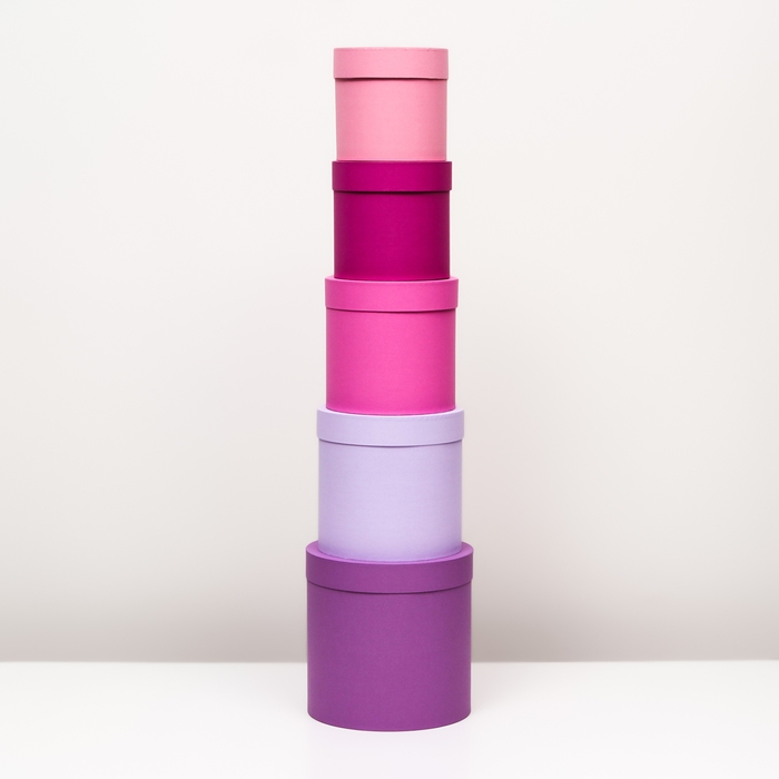 Набор шляпных коробок 5 в 1, сиреневый, 23 х 23-15 х 15 см Набор шляпных коробок 5 в 1, сиреневый, 23 х 23-15 х 15 см