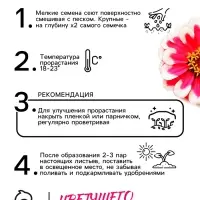 Семена цветов Цинния &laquo;Лилипут&raquo; смесь, 0.2 г, &laquo;Рецепты дедушки Никиты&raquo;