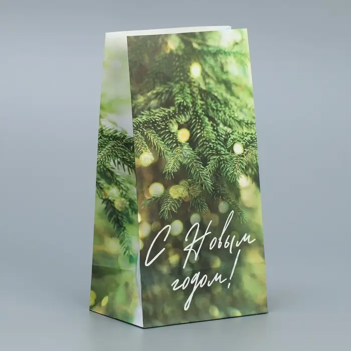 Пакет без ручек «С Новым годом», веточка ели, 10 х 19.5 х 7 см, Новый год Пакет без ручек «С Новым годом», веточка ели, 10 х 19.5 х 7 см, Новый год