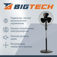 Вентилятор BigTech DWBF001,напольный,черный