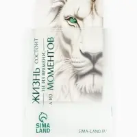 Пакет подарочный «С Новым годом», снеговик, 31 × 40 × 11 см Пакет подарочный «С Новым годом», снеговик, 31 × 40 × 11 см