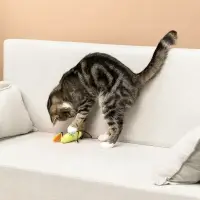 VETTA Игрушка для домашних животных, ПЭ, 10х4,5 см