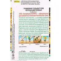 Семена цветов Рудбекия Гольдштурм крупноцветковая Мн Спецсерия PanAmerican, Ц/П,5 шт.