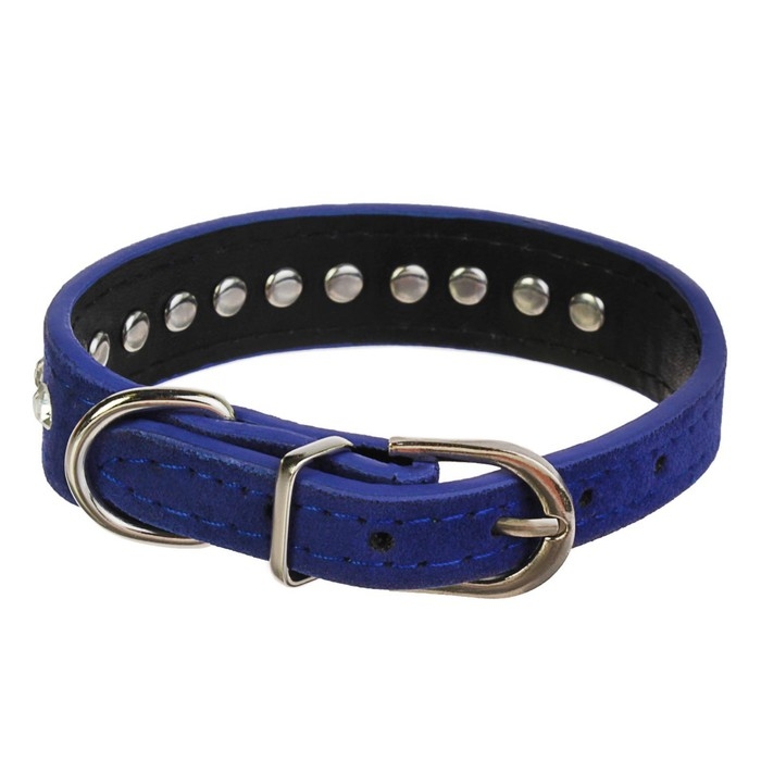 Ошейник Ошейник "Бархат и стразы", 31 х 1,3/2 см, ОШ 22-28 см, синий