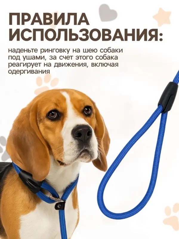 Ринговка для собак, 130&times;1 см, синяя