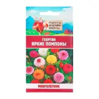 Семена цветов Георгин "Яркие помпоны", 0,3 г