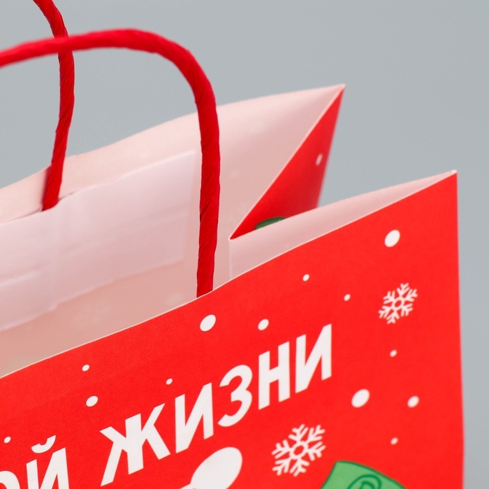 Пакет подарочный новогодний крафтовый «Что-то на богатом», 22 х 22 х 11 см Пакет подарочный новогодний крафтовый «Что-то на богатом», 22 х 22 х 11 см