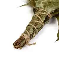 Веник для бани, эвкалиптовый, 53 (&plusmn;2) см, &laquo;Добропаровъ&raquo;