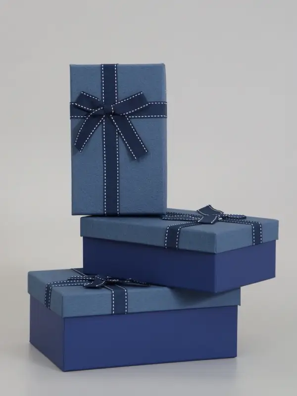 Набор подарочных коробок 3 в 1, прямоугольные 23&times;16&times;9.5 21&times;14&times;8.0 19&times;12&times;6.5 см