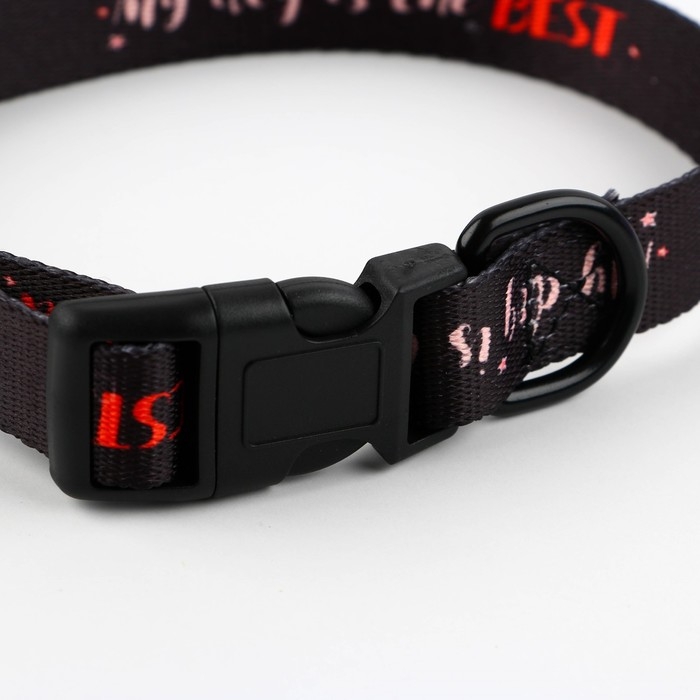 Ошейник My dog is the best, застёжка - фастекс, 2 см 25-40 см Ошейник My dog is the best, застёжка - фастекс, 2 см 25-40 см