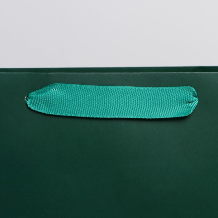 Пакет подарочный ламинированный, упаковка, «Изумрудный», M 26 х 30 х 9 см