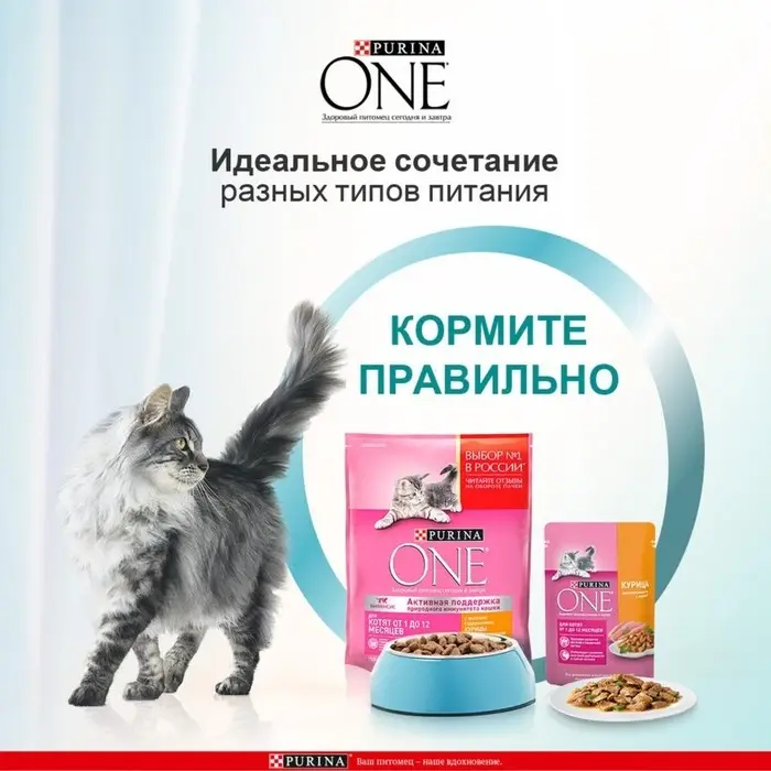 Влажный корм Purinа One для котят, курица/морковь, 75 г Влажный корм Purinа One для котят, курица/морковь, 75 г