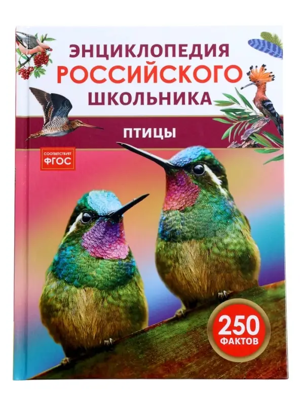 Энциклопедия российского школьника &laquo;Птицы&raquo;