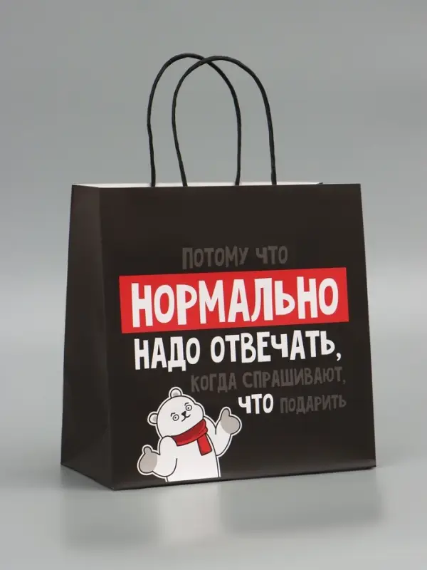 Пакет подарочный новогодний &laquo;Нормально надо отвечать&raquo;, 22&times;22&times;11 см
