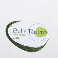 Кувшин BellaTenero &laquo;Эко&raquo;, 1.1 л, 14&times;9&times;21.5 см, с бамбуковой крышкой, стекло, прозрачный