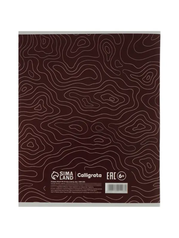 Набор тетрадей из 5 штук, 48 листов в клетку Calligrata &laquo;Линии&raquo;, блок офсет, 5 видов