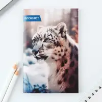 МИКС блокнотов А6, 32 листа &laquo;Животные&raquo;