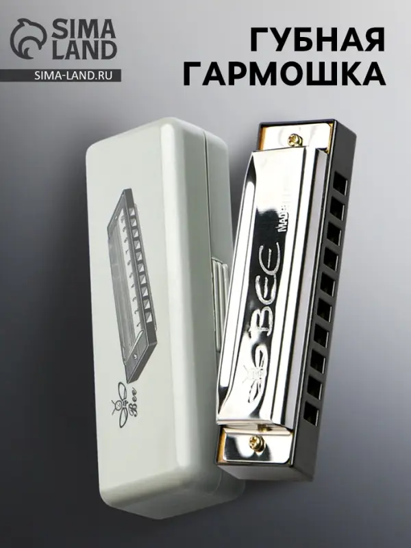 Губная гармошка, диатоническая, 10 отверстий, c-major, с футляром, серебристая
