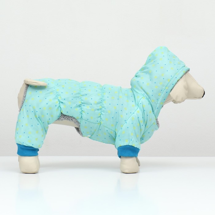 Комбинезон  Комбинезон "нежный путь" на меховом подкладе, размер S  (ДС 25, ОШ 25, ОГ 35 см), голубой