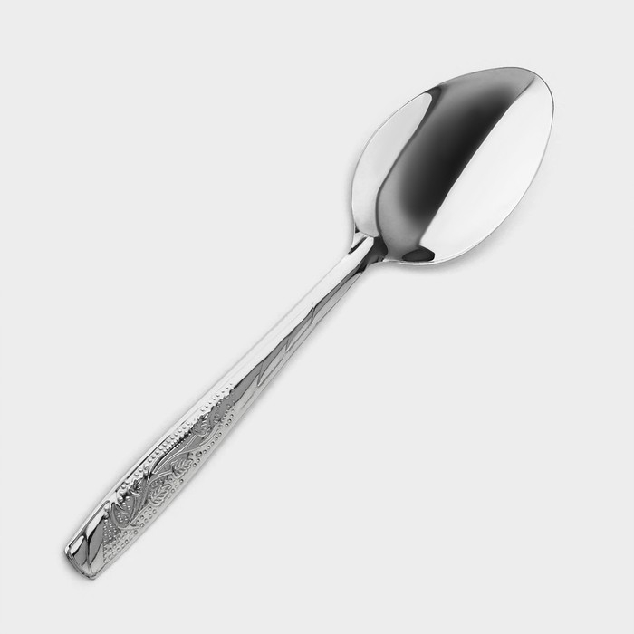 Ложки столовые из нержавеющей стали &laquo;Паритто&raquo;, длина 19 см, 12 шт, цвет серебряный