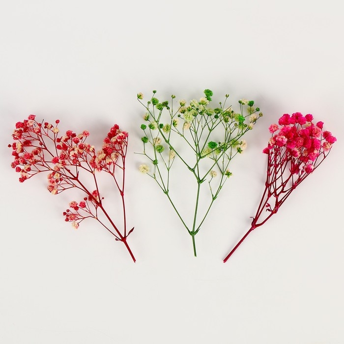 Набор сухоцветов «Гипсофилы» Набор сухоцветов «Гипсофилы»