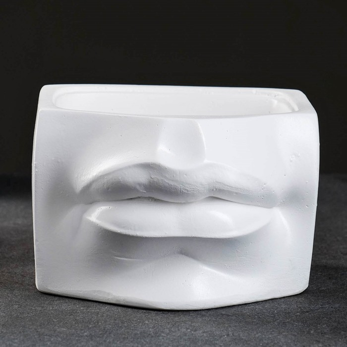 Кашпо - органайзер Кашпо - органайзер "Губы Давида" белое, 16х11,5х16см