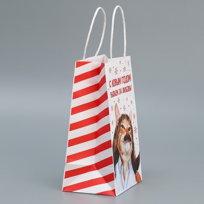 Пакет подарочный новогодний крафтовый «За любовь», 12 х 21 х 9 см, Новый год Пакет подарочный новогодний крафтовый «За любовь», 12 х 21 х 9 см, Новый год