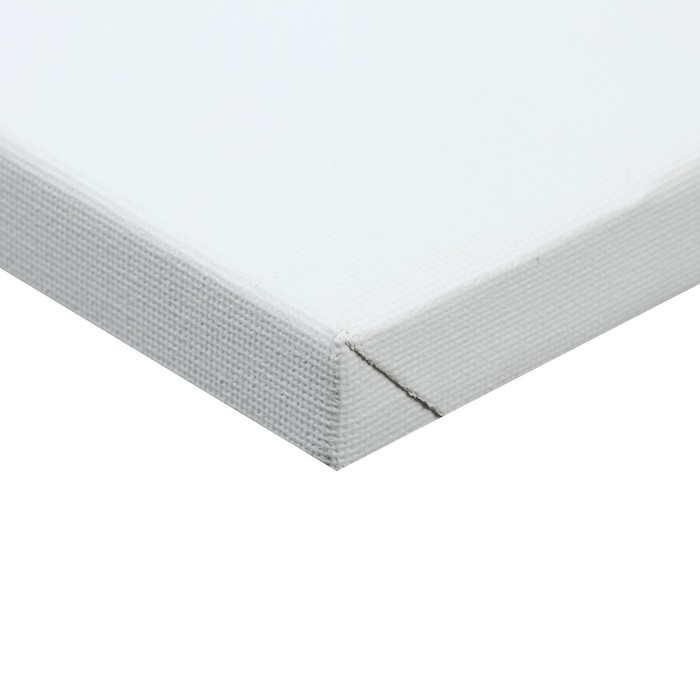 Холст на подрамнике, хлопок 100%, 50 х 60 х 1.8 см, акриловый грунт, мелкозернистый, 280 г/м² Холст на подрамнике, хлопок 100%, 50 х 60 х 1.8 см, акриловый грунт, мелкозернистый, 280 г/м²