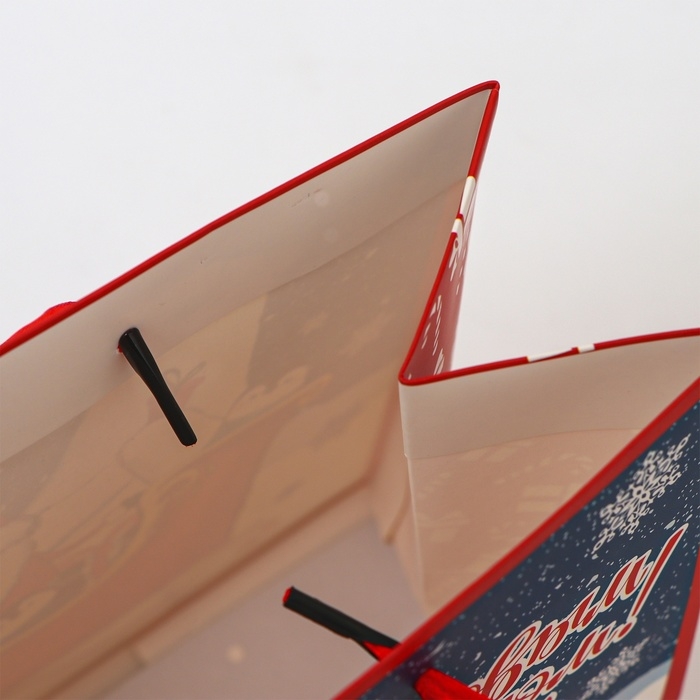 Пакет ламинированный «На санях», MS 23 × 18 × 10 см Пакет ламинированный «На санях», MS 23 × 18 × 10 см