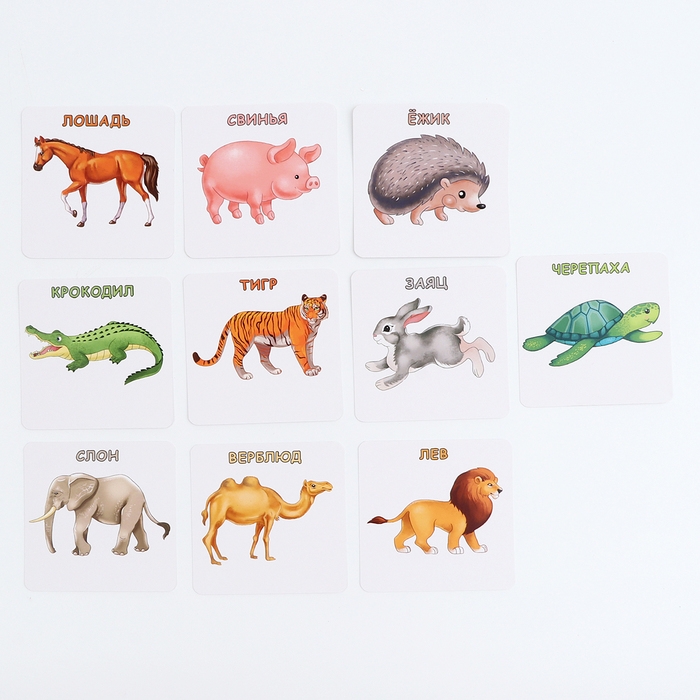 Набор карточек «Да или нет. Животные» Набор карточек «Да или нет. Животные»