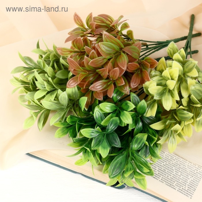 Букет  Букет "Листовик" 25 см, микс