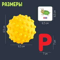 Набор «Умные мячики, проработка звуков Р,С,Л,Ж»