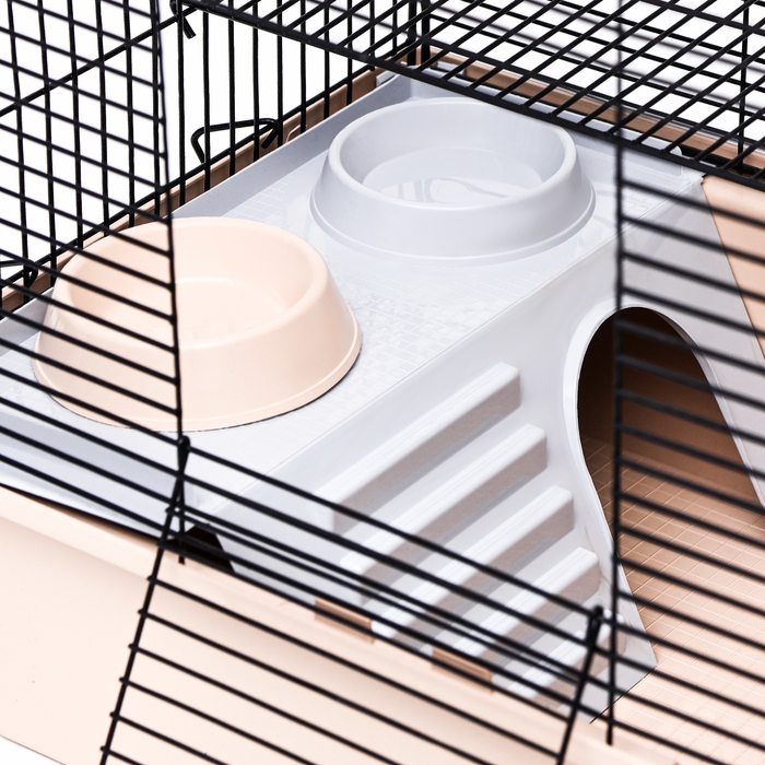 Клетка для грызунов Клетка для грызунов "Пижон" №10, 2 этажа, разборная, 42 х 30 х 37см (+домик,колесо,миска), бежевая