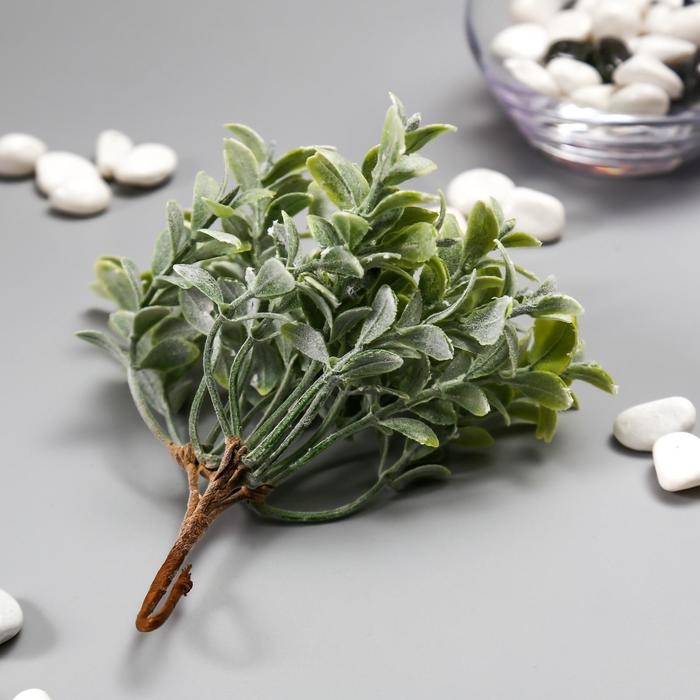 Искусственный суккулент для создания флорариума Искусственный суккулент для создания флорариума "Крассула" набор 6 шт 15 см