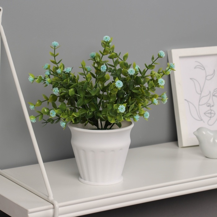 Бонсай в горшке Бонсай в горшке "Гомфрена премиум" 21х10 см, микс