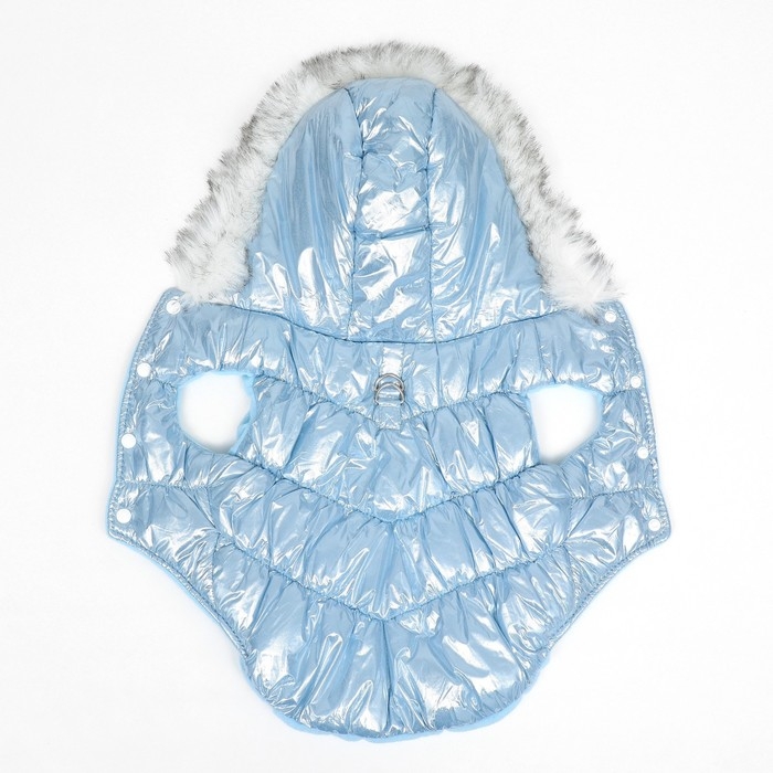 Куртка для собак  Куртка для собак "Легкость", размер 2XL (ДС 44, ОГ 59, ОШ 44 см), голубая