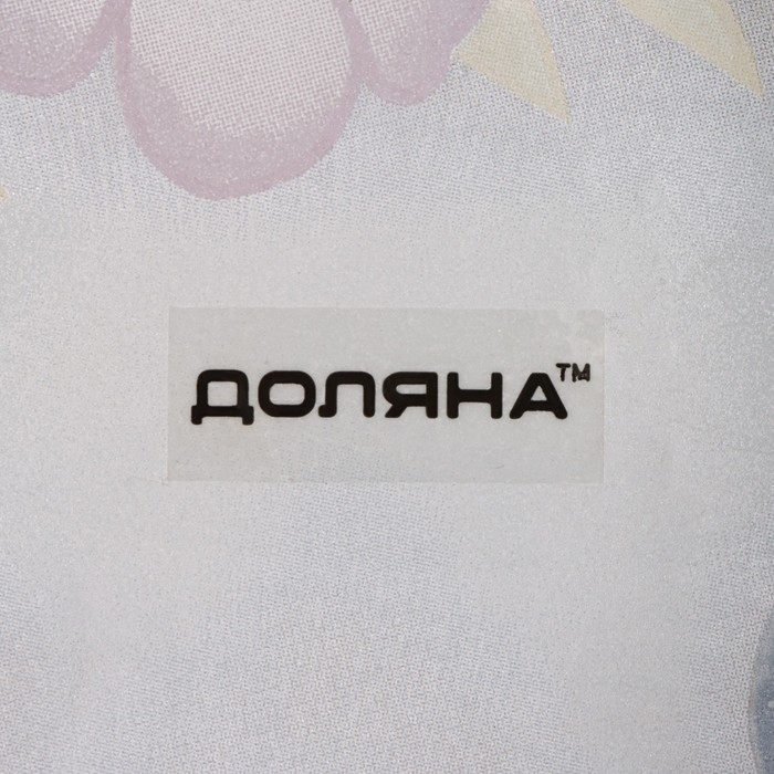 Блюдо стеклянное сервировочное Доляна «Цветочный кролик», 21×13,5×1,8 см Блюдо стеклянное сервировочное Доляна «Цветочный кролик», 21×13,5×1,8 см