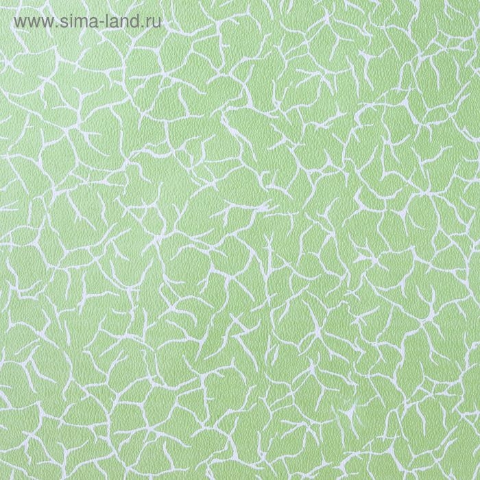 Обои бумажные Обои бумажные "Паутинка", зелёные, 0,53 x 10,05 м,1809