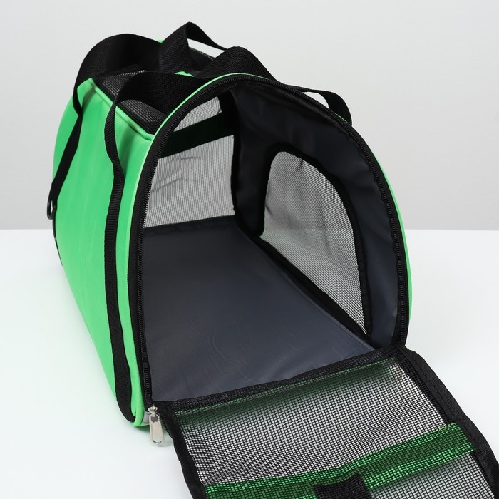 Сумка-переноска сетчатая, 48 х 26 х 31 см, зелёная Сумка-переноска сетчатая, 48 х 26 х 31 см, зелёная